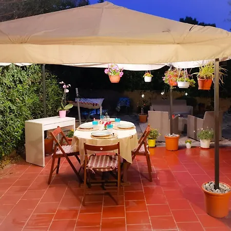 Vicky's - C. Citra 008055-lt-1257 *